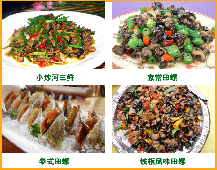 ��������������ʳ����������