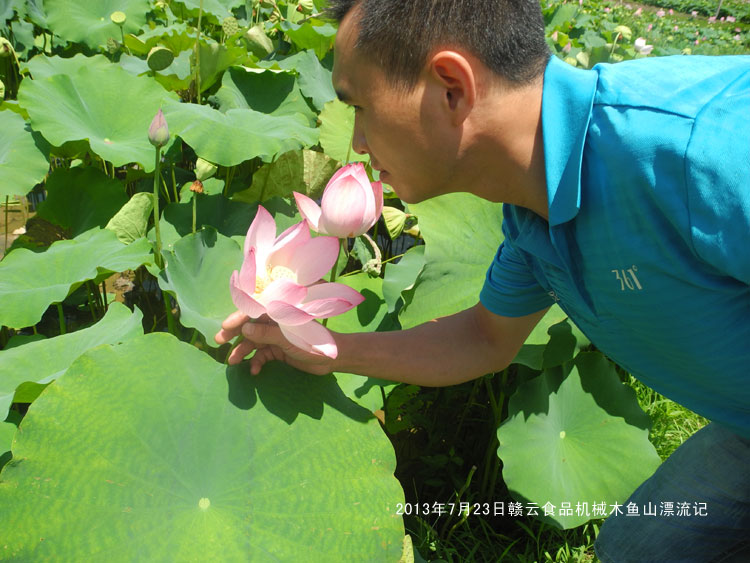 �@��(g��)�炃��մ���ǲ�-�M��ʳƷ�C(j��)еľ�~ɽ����Ư��ӛ