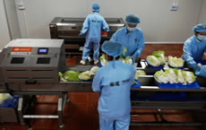 �|ݸ��N������ˮ��(xi��n)�\(y��n)�мӹ��r(sh��)�İ����D