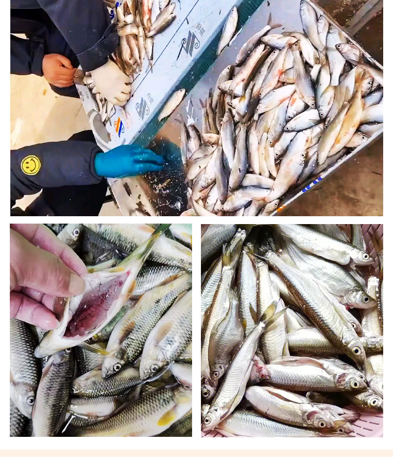 ��С�~�C(j��)�F(xi��n)�����~��(sh��)��