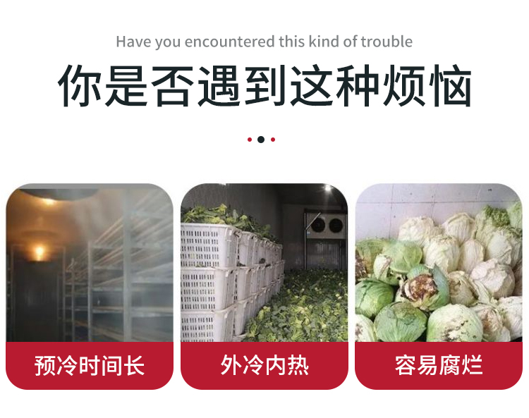 ʹ������������Ć��}